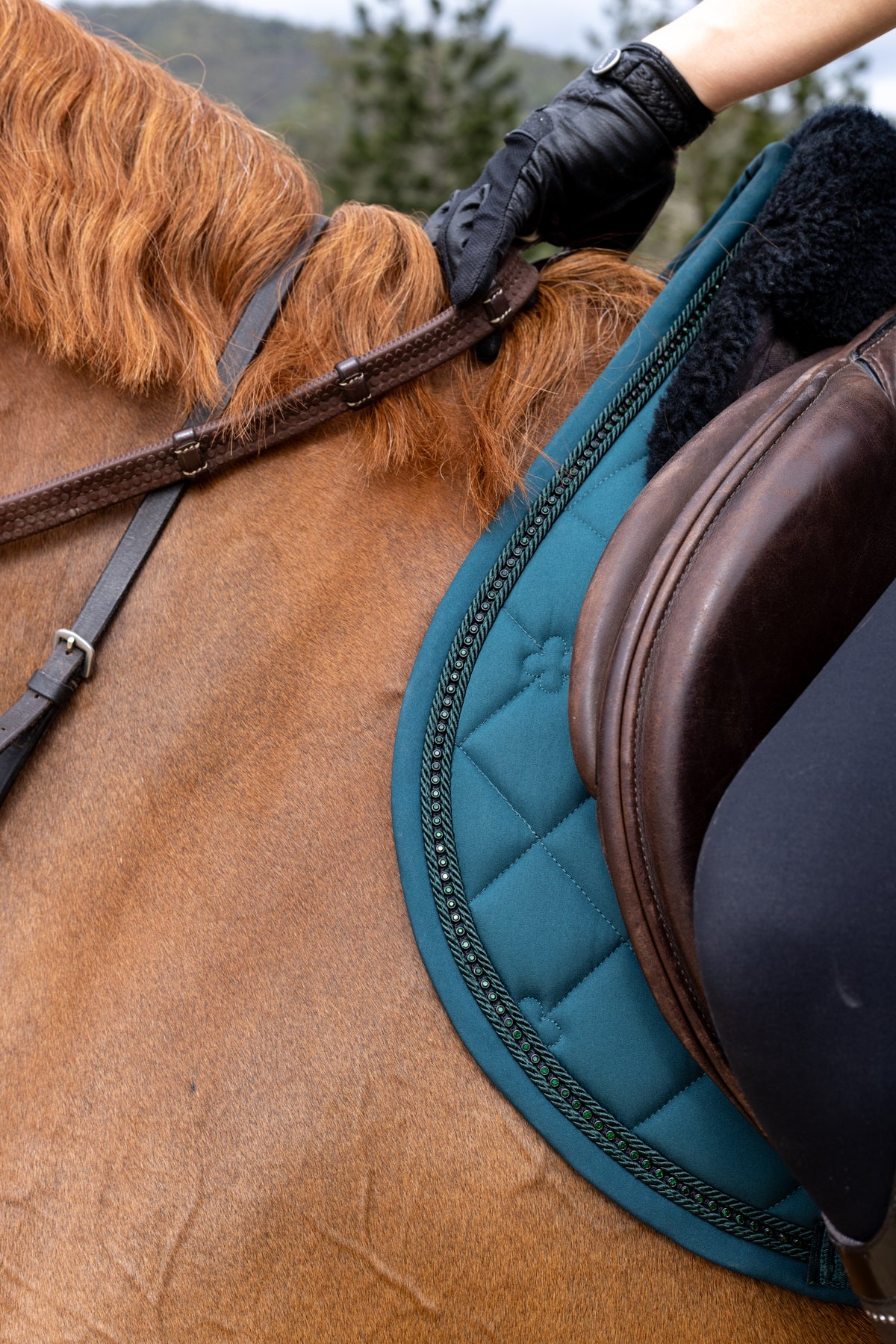 Peacock Green Jump Cut Saddle Pad With Pocket