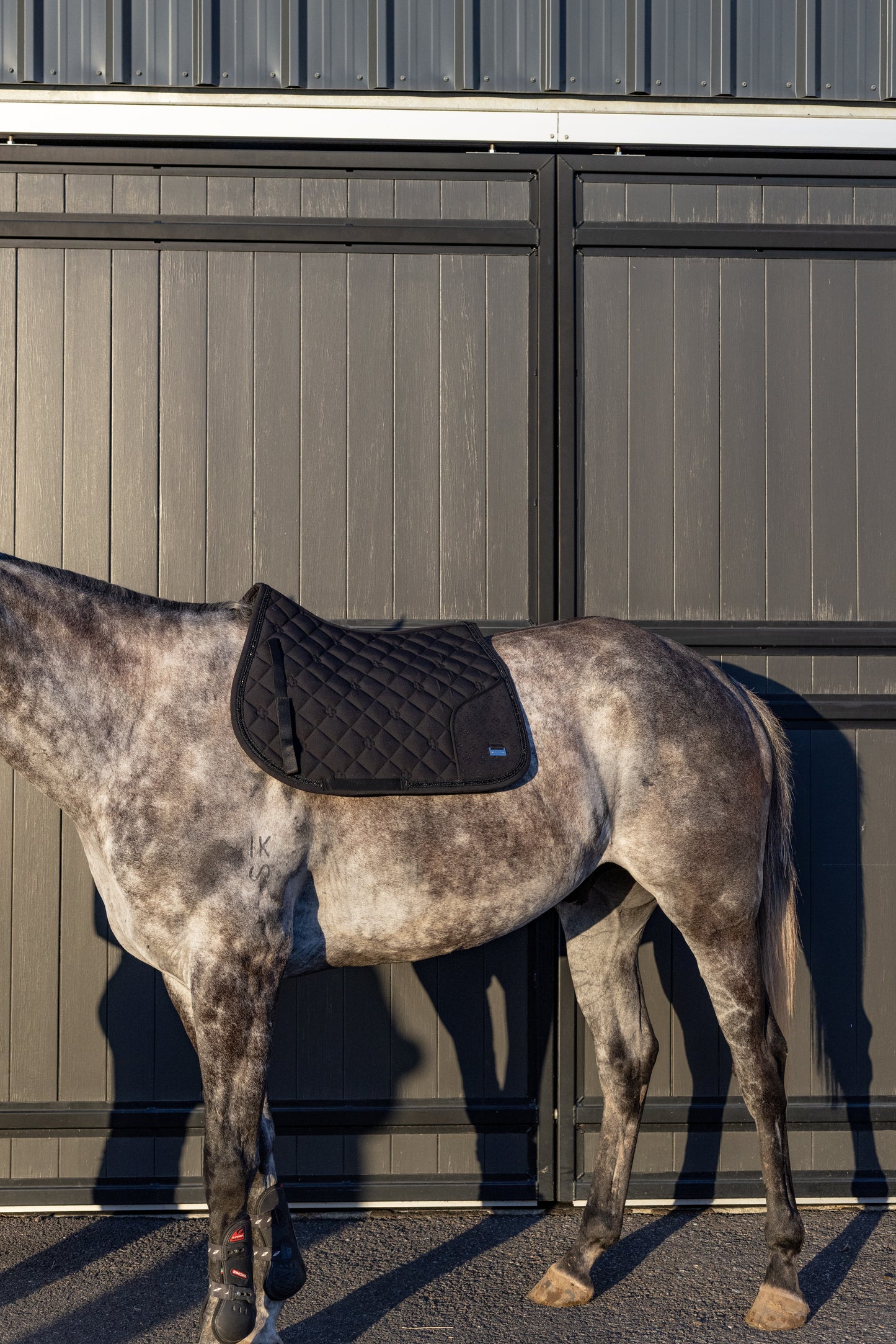 Black Edition Jump Saddle Pad W/Pocket