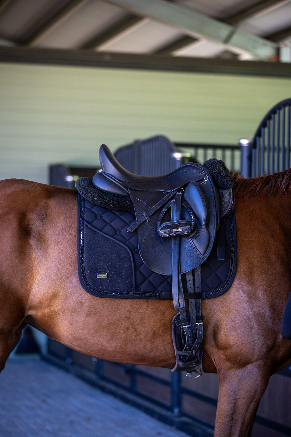 Horse with a black saddle in a stable