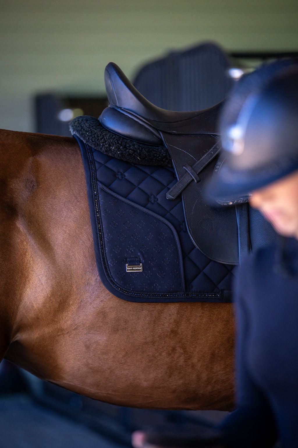 black saddle pad on a horse with a blurred background