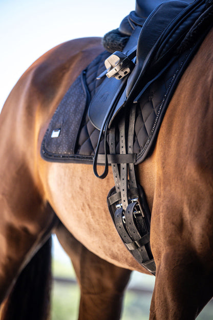 Close-up of a horse wearing a black saddle with a blurred background