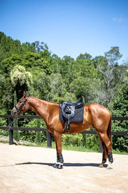 Chestnut horse with a black saddle pad on a dirt path with trees in the background