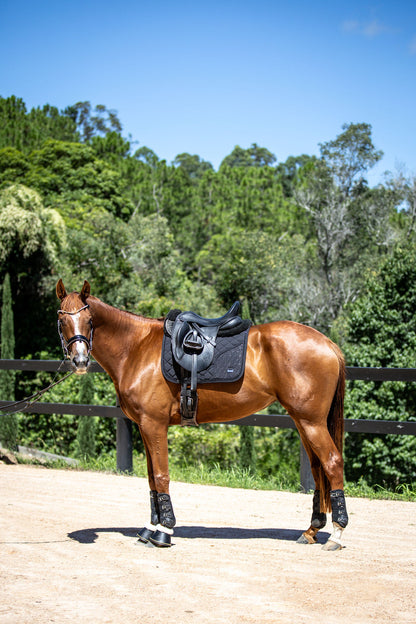 Chestnut horse with a black saddle in an outdoor setting with trees and clear sky.