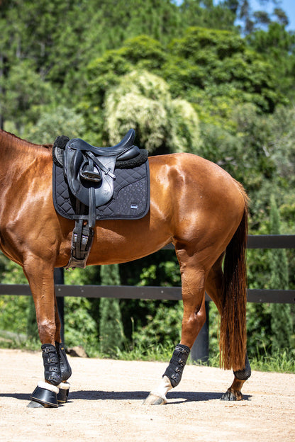 Chestnut horse with a black saddle and bridle standing on a dirt path with greenery in the background
